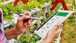 Agriculture and technology for the future