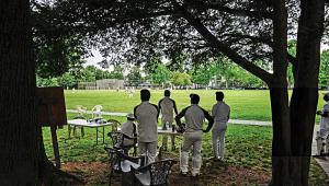 cricket-in-usa1.jpg