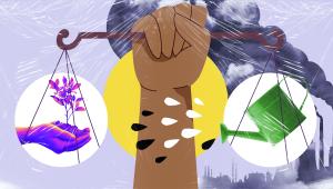 When law becomes an enabler of environmental damage