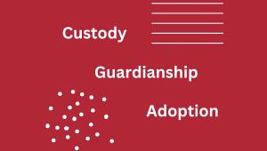 custody-guardianship.jpg