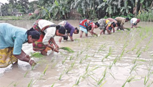 Time to recognise women's contribution in agriculture.png