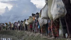 food aid for Rohingya refugees