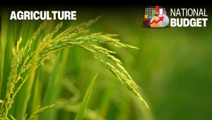agriculture.jpg