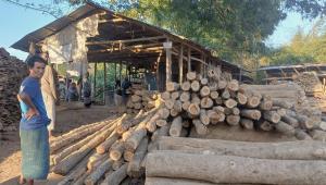 saw-mill-bandarban-01.jpg