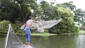 What non-resident Bangladeshis miss about their country