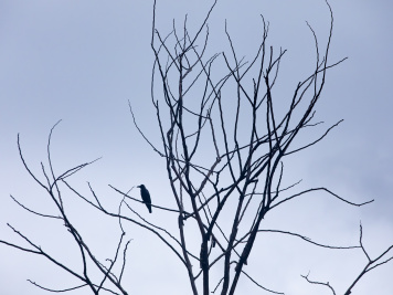 _OC_2166-Enhanced-NR copy.jpg