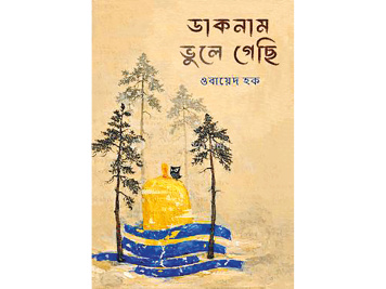 Daaknam-Bhule-Gechi.jpg