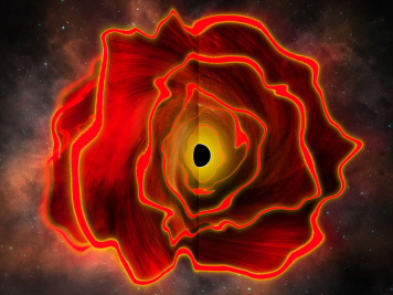 Black hole star