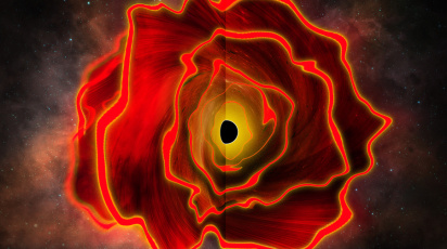 Black hole star
