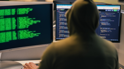 Cybercrime
