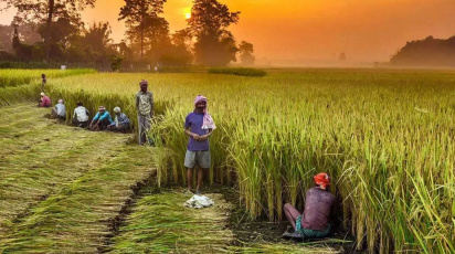 agri-subsidy-should.jpg