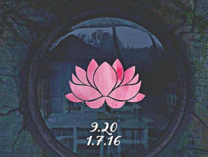 2016 was THE worst. Now what