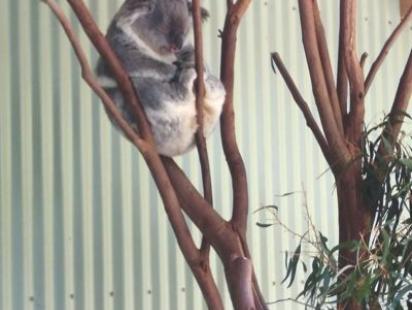 Five places to visit in Sydney, Australia