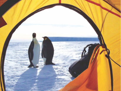 ice_camping_with_penguins_in_antarctica.jpg
