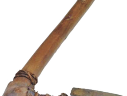 Murder of The Ice Man