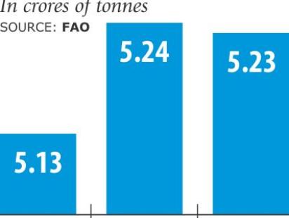 paddy production annual.jpg