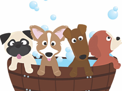 preparing_first_pet_dog