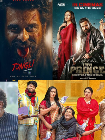 Visual_Dowel Biswas.png