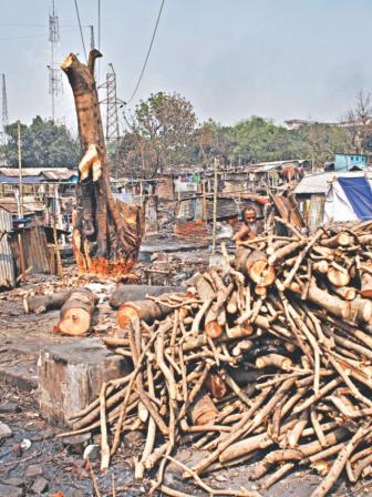 Shanties reconstructed