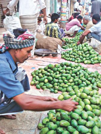 A trader with mangoes.jpg