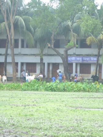 cattle market Haji Konu Mia High School.jpg