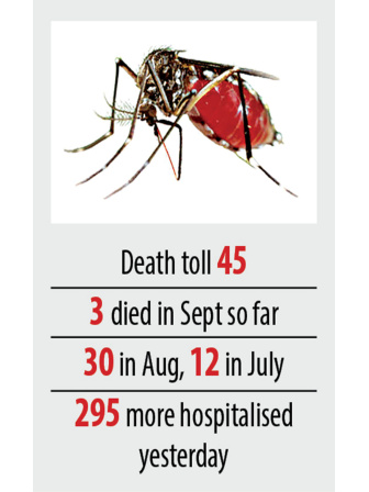 dengue-1.jpg