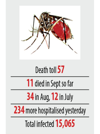 dengue-1.jpg