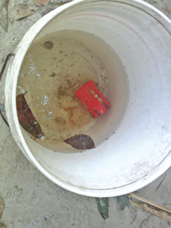 Countrywide Violent Voting 6.jpg