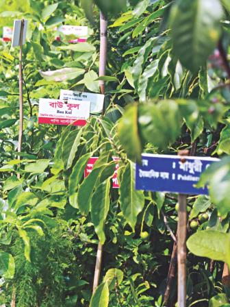 Different Shades of Green