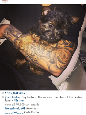 Bieber adds four-legged member to his family