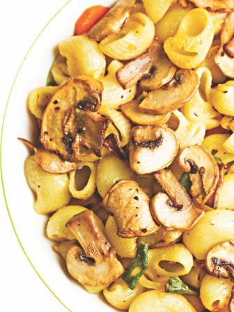 super food mushroom the fungi