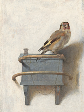 the_goldfinch1.jpg