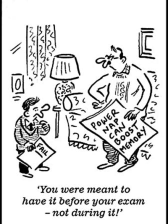 the_great_grade_slumber