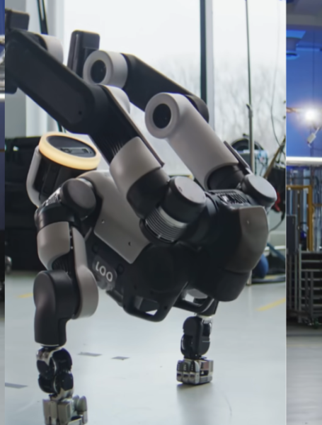 Boston robot
