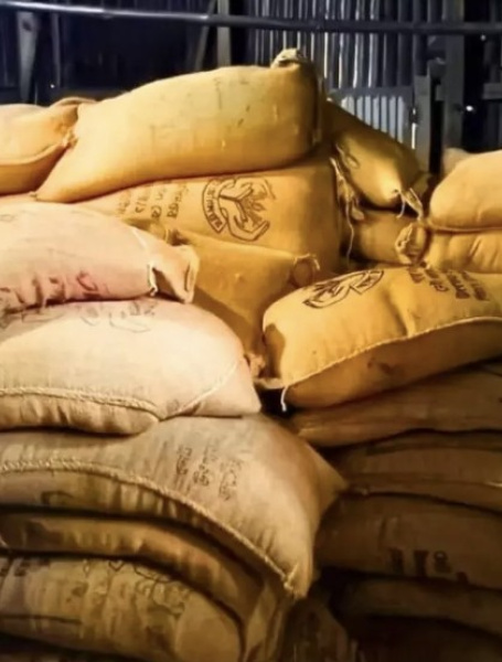 ​According to locals, government rice had been hoarded in Jamaat leader's house for a long time to be sold later at higher prices. Photo: Star