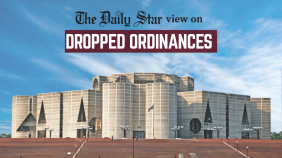 dropped ordinances .png