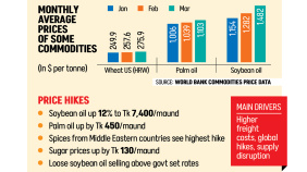 Infographic: Monthly Average Prices of Some Commodities 